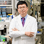 New Insights from the Brain Mapping Project in Japan