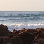 Tidepooling with Birch Aquarium at Scripps