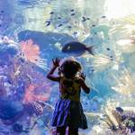 SEA Days: Earth Day