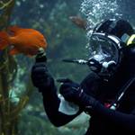 World Oceans Day with Birch Aquarium