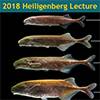 2018 Heiligenberg Lecture: Electric Fish and Ion Channels: Neurobiology Meets Molecular Evolution