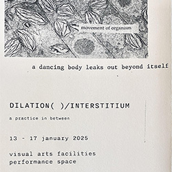 DILATION( )/INTERSTITIUM: erika roos 2nd Year MFA Exhibition