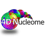 2018 4DN-ASCB Satellite Meeting: Bridging the 4D Genome with Cell Biology