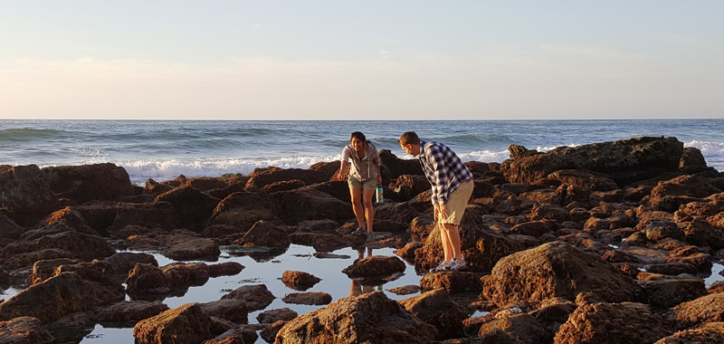 Tidepooling Adventure with Birch Aquarium at Scripps
