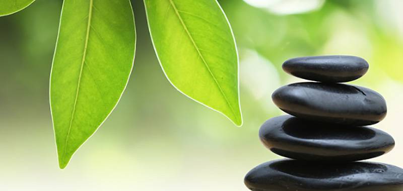 Retreat and Renew: An Afternoon Meditation Immersion with Vou Athens