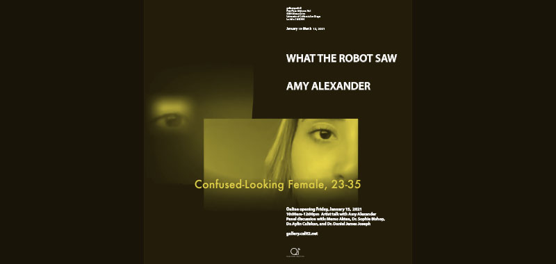 What the Robot Saw