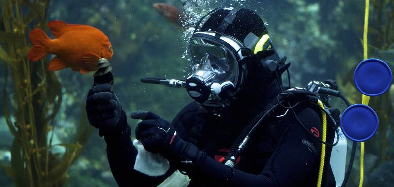 World Oceans Day with Birch Aquarium