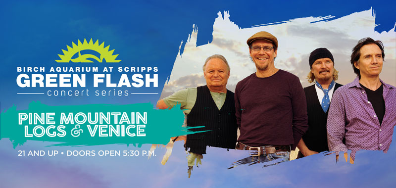 Pine Mountain Logs & Venice LIVE at Birch Aqaurium