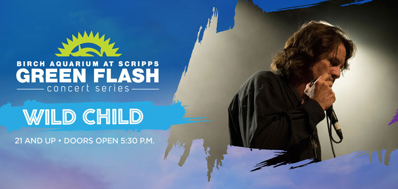 Wild Child LIVE at Birch Aquarium