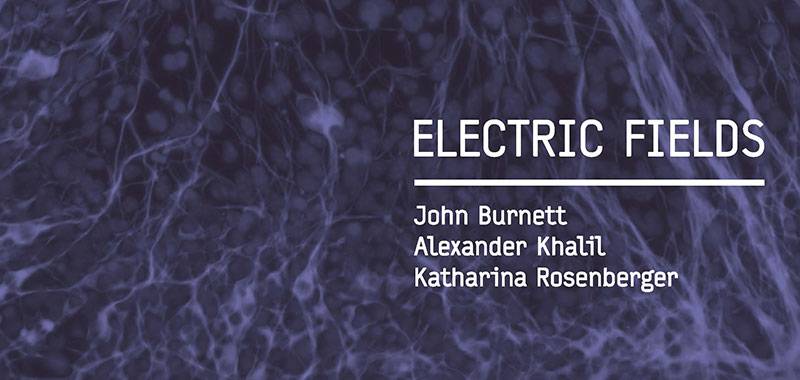 gallery@calit2: Electric Fields