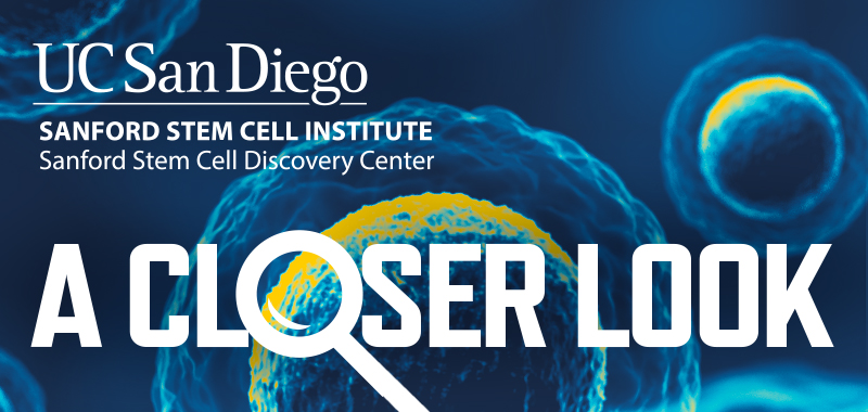 A Closer Look | Stem Cells and Human Longevity