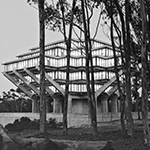Architectural Masterpiece: Paving the Way for the Future