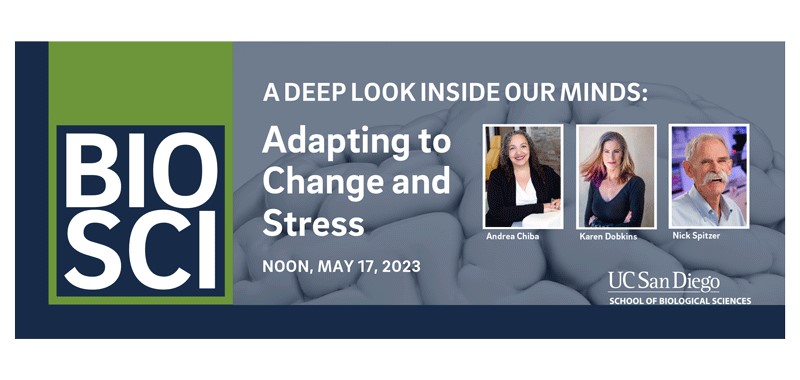 A Deep Look Inside Our Minds: Adapting to Change and Stress