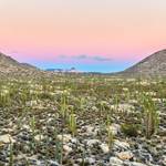 Perspectives Lecture: Baja's Wild Side