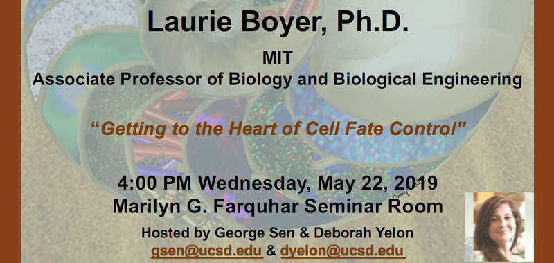 Laurie Boyer, PhD, MIT,  Guest Speaker, Spring 2019 Seminar Series, CMM, Div. of Biological Sciences