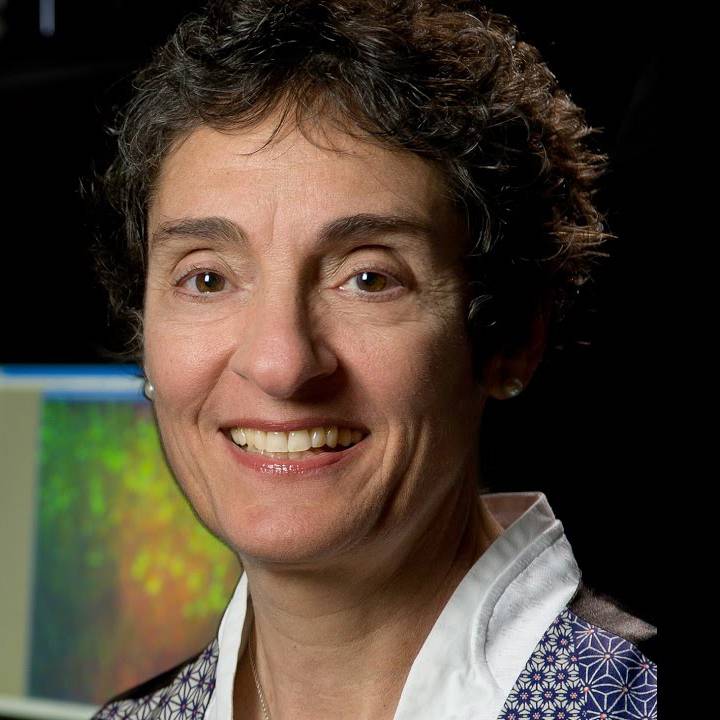 2019 Kuffler Lectures: Carla Shatz