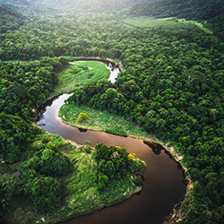 An Introduction to Conservation Psychology