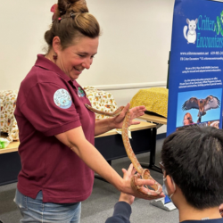 Critter Encounters at the Library