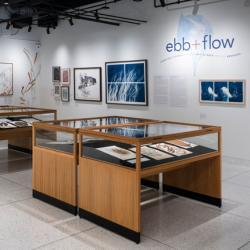 Ebb and Flow: Giant Kelp Forests through Art, Science and the Archives