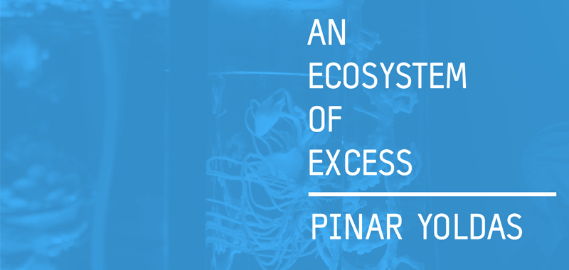An Ecosystem of Excess