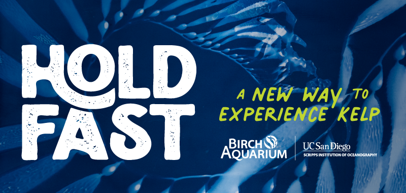 New exhibition at Birch Aquarium: Hold Fast