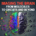 Imaging the Brain: From Molecules to Circuits and Beyond