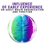 Influence of Early Experience on Adult Brain Organization and Function