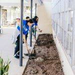 MLK Day of Service