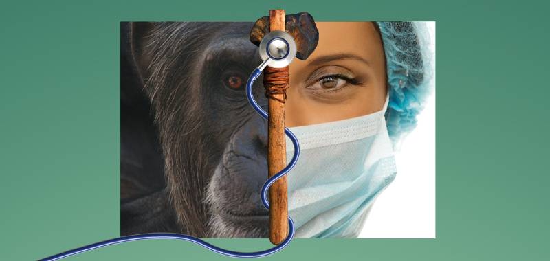 Implications of Anthropogeny for Medicine and Health