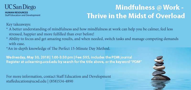Mindfulness @ Work - Thrive in the Midst of the Overload