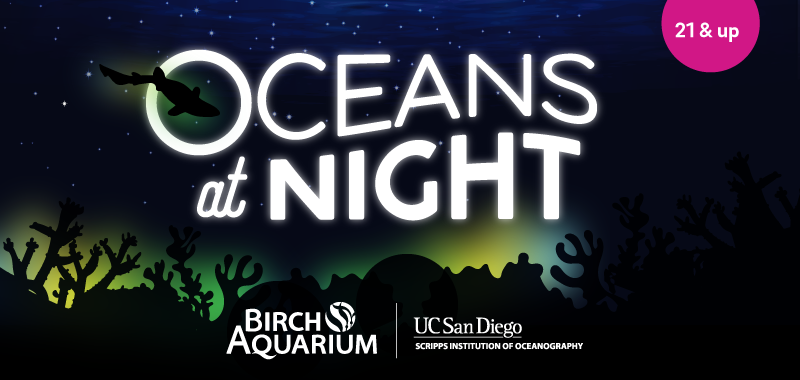 Oceans at Night at Birch Aquarium