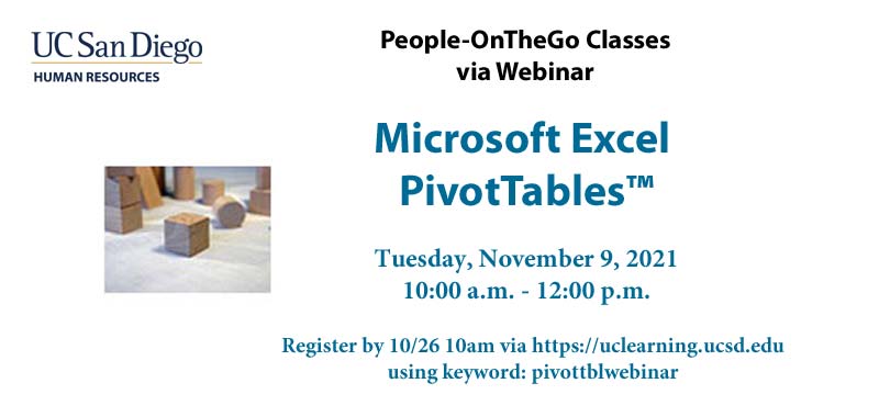 Microsoft Excel PivotTables