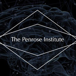 Consciousness and the Physics of the Brain