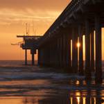 Full Moon Pier Walks with Birch Aquarium