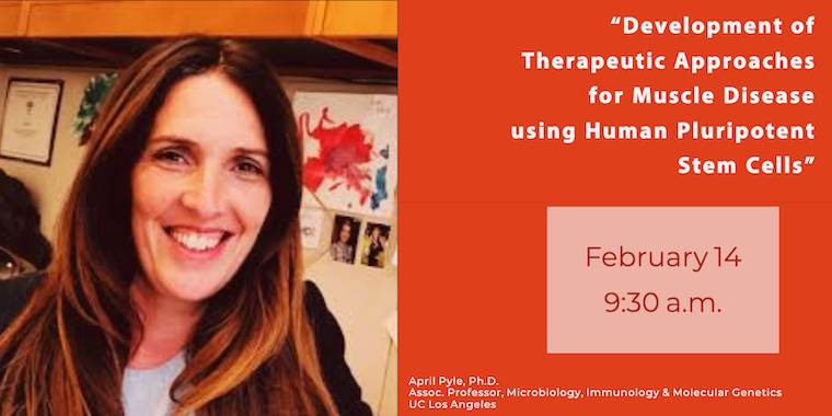 SoCal Stem Cell Seminar Series, Presents: April Pyle, Ph.D.
