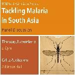 Tackling Malaria in South Asia