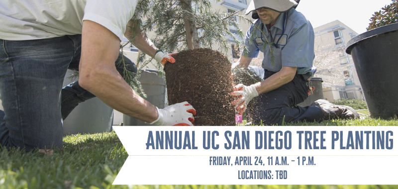 CANCELED: Annual UC San Diego Arbor Day