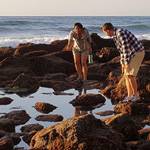 Tidepooling Adventure at Birch Aquarium