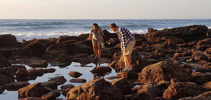 Tidepooling Adventure at Birch Aquarium