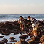 Tidepooling Adventures with Birch Aquarium