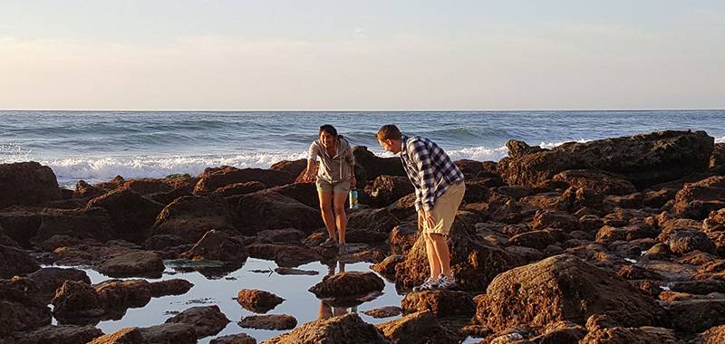 Tidepooling Adventures with Birch Aquarium