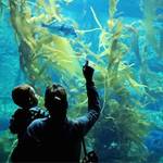 Adventure Aquarium!