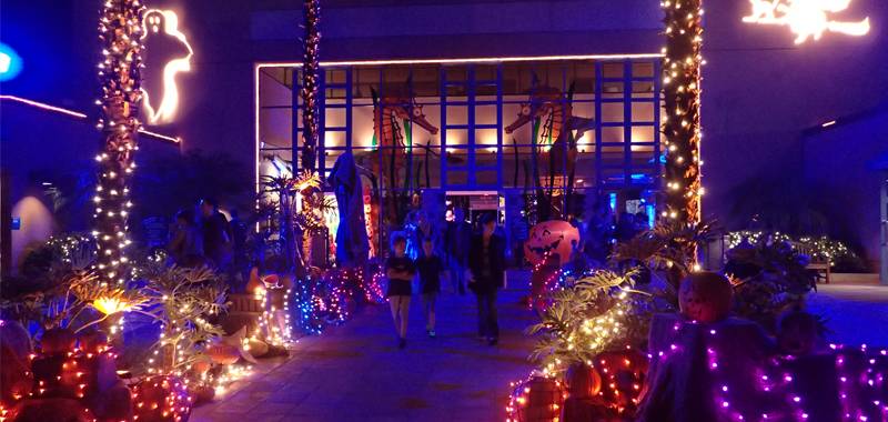 Birch Aquarium’s Haunted Aquarium: Sea Monster Mash