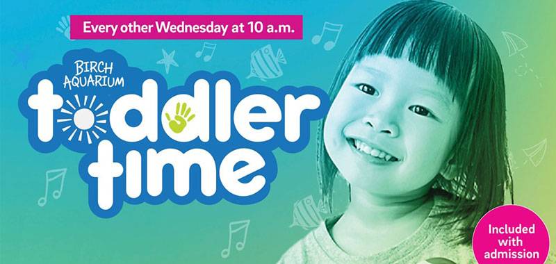 Toddler Time: Seed & Song Yoga at Birch Aquarium