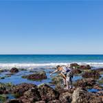 Tidepooling Adventures with Birch Aquarium!