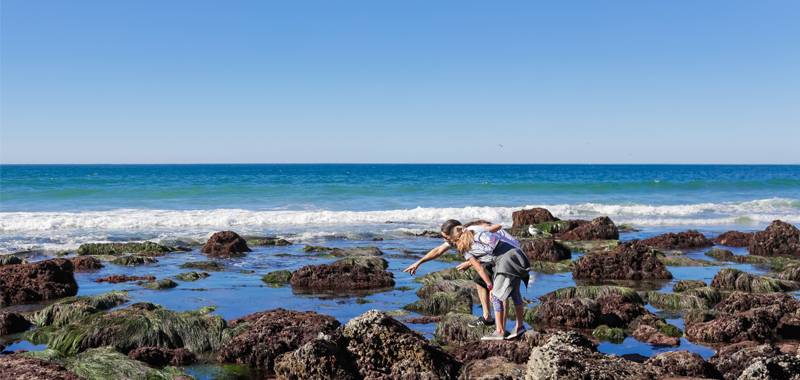 Tidepooling Adventures with Birch Aquarium!