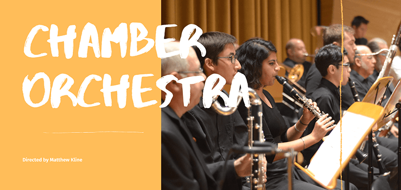 Chamber Orchestra