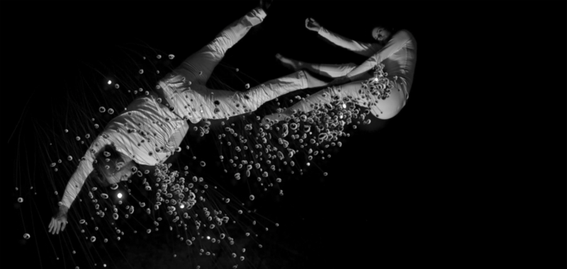 Dance Camera West: Selected winners from the 2020 Dance Film Festival