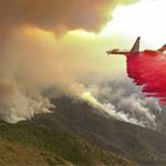 Birch Aquarium’s Perspectives Lectures: Bracing for Fire When the Wind Blows