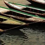 Polluting the Ganges: A Book Reading and Discussion
